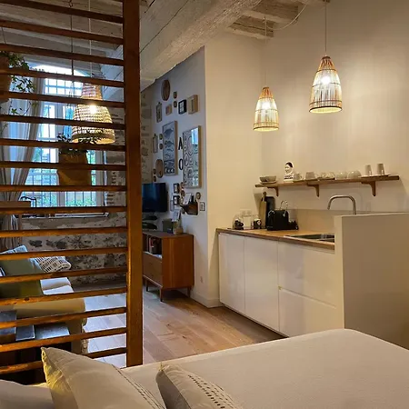 Le Jardin Suspendu Vieux-Lyon - Option Garage Apartment Exterior photo