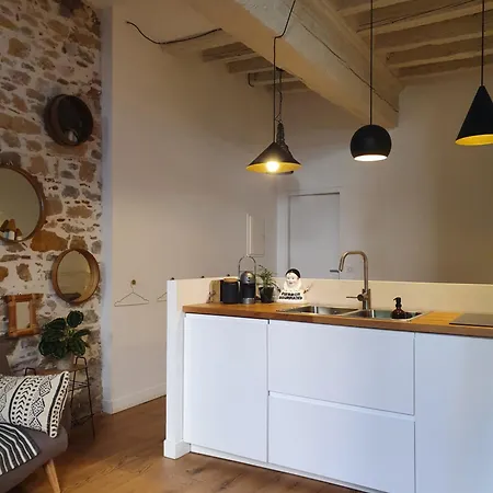 Le Jardin Suspendu Vieux-Lyon - Option Garage Apartment Room photo