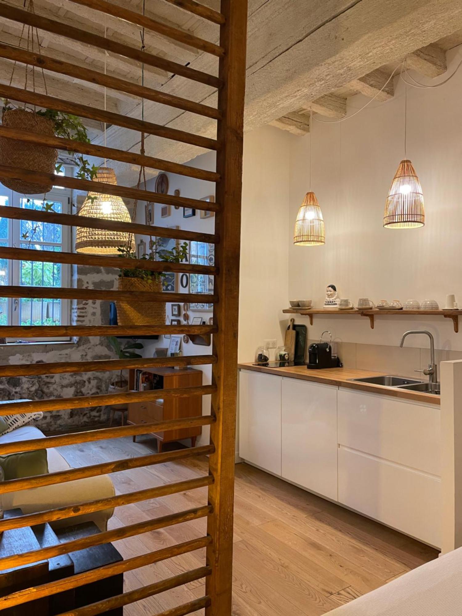 Le Jardin Suspendu Vieux-lyon - Option Garage Appartamento Lione